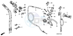 CRF450RC drawing HANDLE LEVER/SWITCH/CABLE