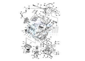 TDM ABS 900 drawing OIL PUMP