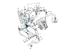 XT Z TENERE 660 drawing RADIATOR-HOSE