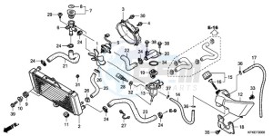 VTR2509 Europe Direct - (ED / LL) drawing RADIATOR