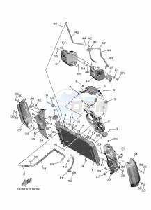 XSR900 MTM890-U (BMS1) drawing RADIATOR & HOSE