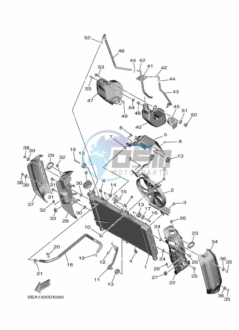 RADIATOR & HOSE