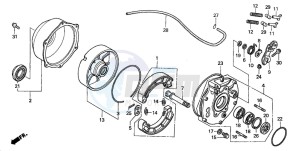 TRX350TM RANCHER S drawing REAR BRAKE PANEL