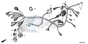 TRX250TME FOURTRAX RECON Europe Direct - (ED) drawing WIRE HARNESS (TRX250TM)