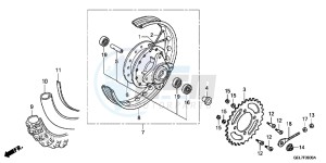 CRF50FC drawing REAR WHEEL