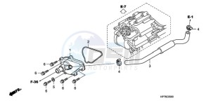 TRX420FPA9 Australia - (U) drawing WATER PUMP COVER