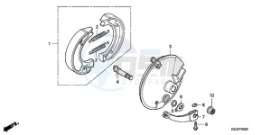 CRF80F9 Mexico - (MX) drawing FRONT BRAKE PANEL