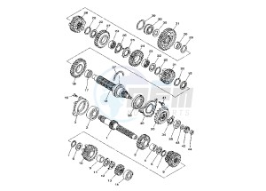 TDM A 900 drawing TRANSMISSION