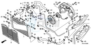 CB600FAB drawing RADIATOR