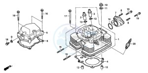 TRX250 TRX250 FOURTRAX drawing CYLINDER HEAD