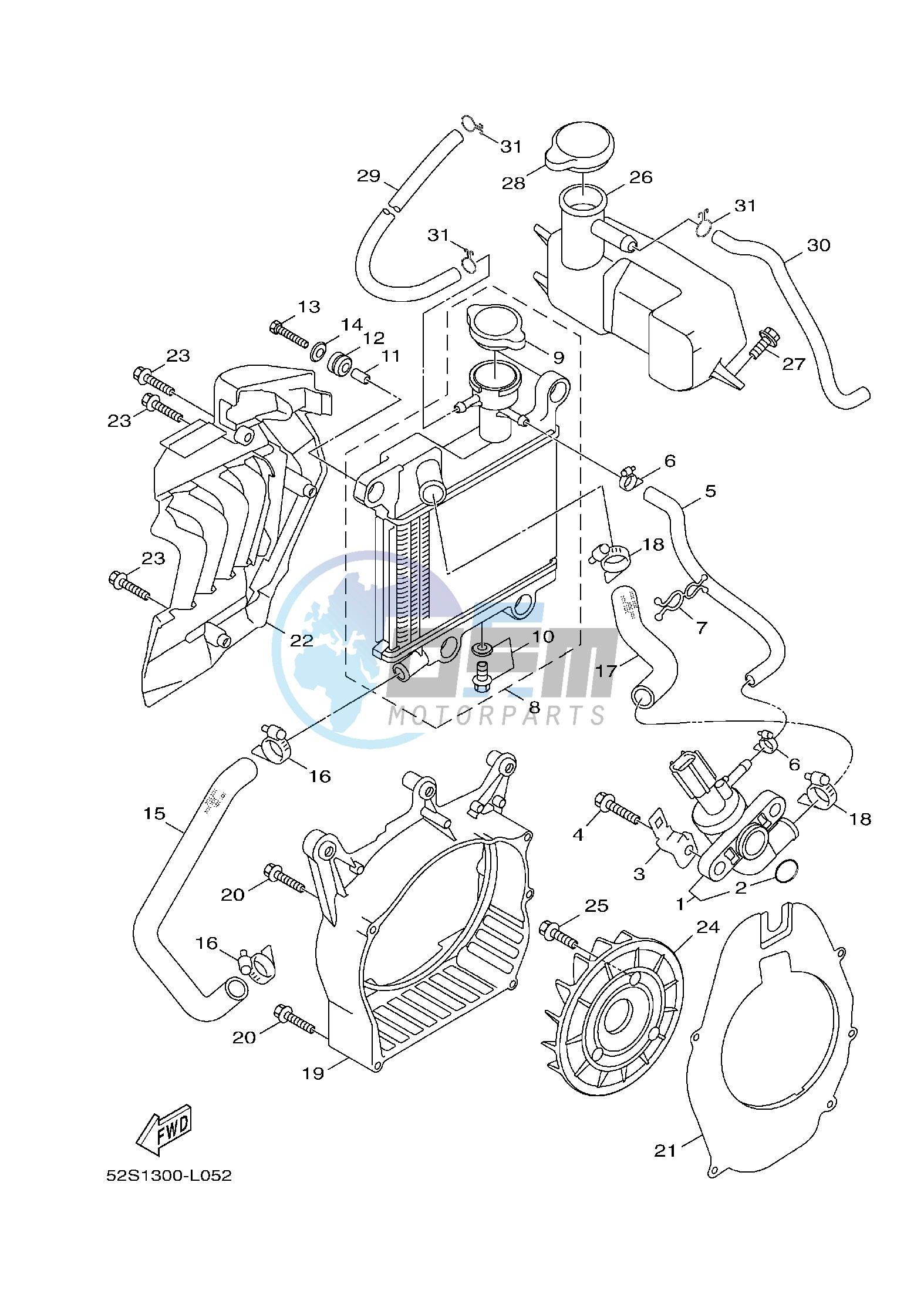 RADIATOR & HOSE