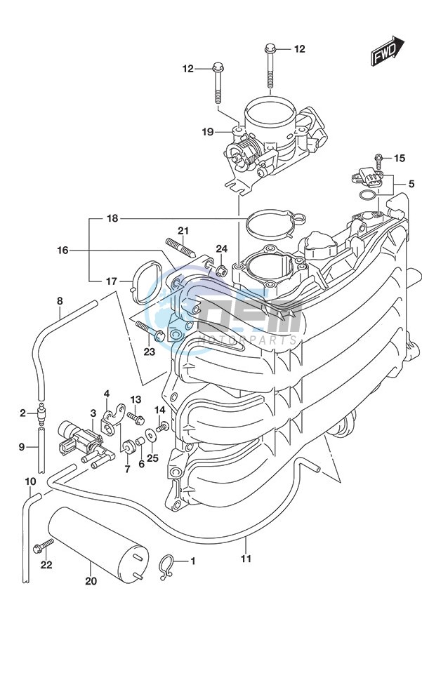 Intake Manifold/Throttle Body (Model: TG/ZG)