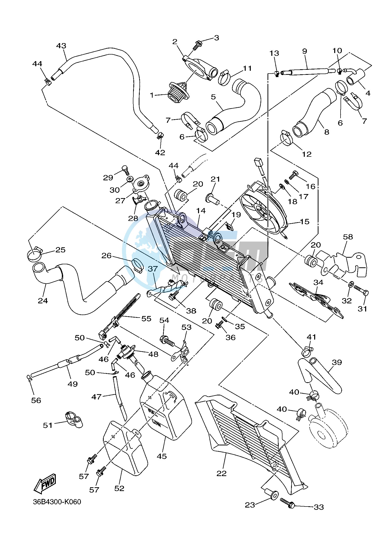 RADIATOR & HOSE