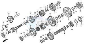 TRX350FM FOURTRAX 350 4X4ES drawing TRANSMISSION