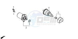 SFX50 drawing STARTING MOTOR