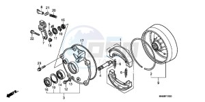 TRX250XD TRX250X Australia - (U) drawing REAR BRAKE DRUM