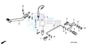 CBR125RW9 Germany - (G / WH) drawing PEDAL