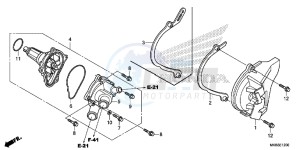 CBR1000RRG CBR1000 - Fireblade Europe Direct - (ED) drawing WATER PUMP