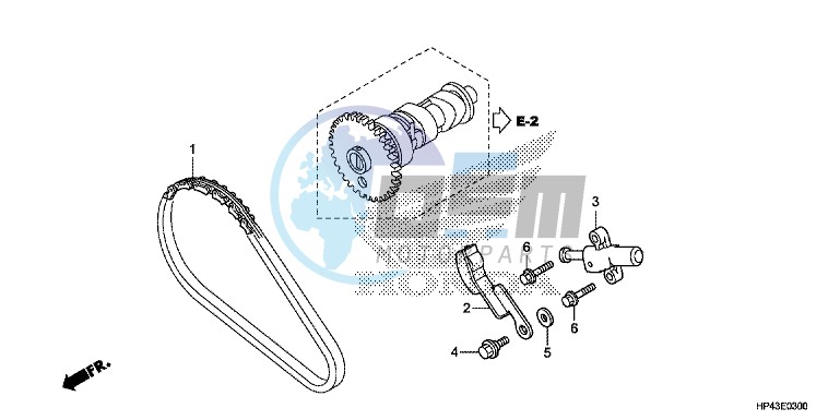 CAM CHAIN/TENSIONER