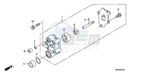 TRX500FPEB drawing OIL PUMP