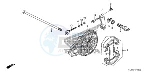 CRF70FB CRF70F ED drawing REAR BRAKE PANEL