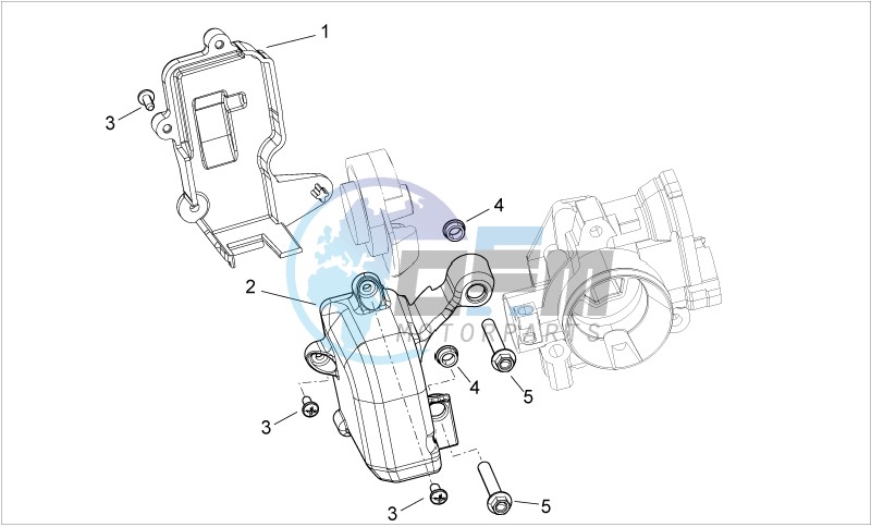 Throttle body Protection