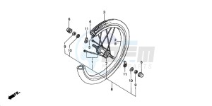 PAC16A1 RACOON drawing FRONT WHEEL