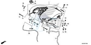 GL1800CF F6C ED drawing FUEL TANK