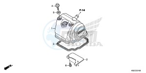 CRF150RE CRF150R Europe Direct - (ED) drawing CYLINDER HEAD COVER