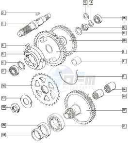 STANDARD_24-45kmh_T-X 50 T-X drawing Countershaft-mainshaft