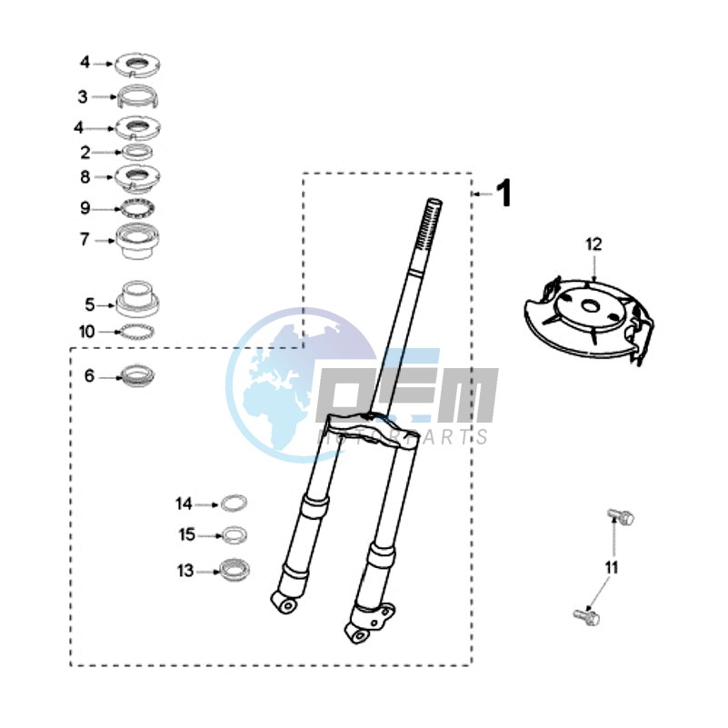 FRONT FORK / STEERINGHEAD PAIOLI