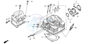 TRX350FE FOURTRAX ES drawing CYLINDER HEAD