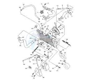 XJ6-F DIVERSION 600 drawing RADIATOR AND HOSE