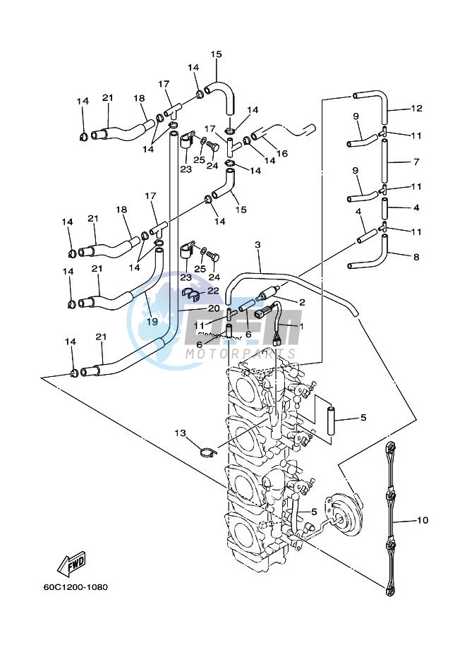 CARBURETOR-2