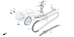 NPS50 drawing CAM CHAIN/TENSIONER