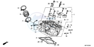 XL1000VB drawing TAILLIGHT