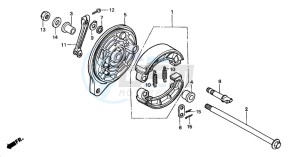 VT750DCB SHADOW SPIRIT drawing REAR BRAKE PANEL