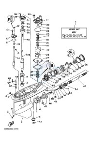 115B drawing LOWER-CASING-x-DRIVE-1