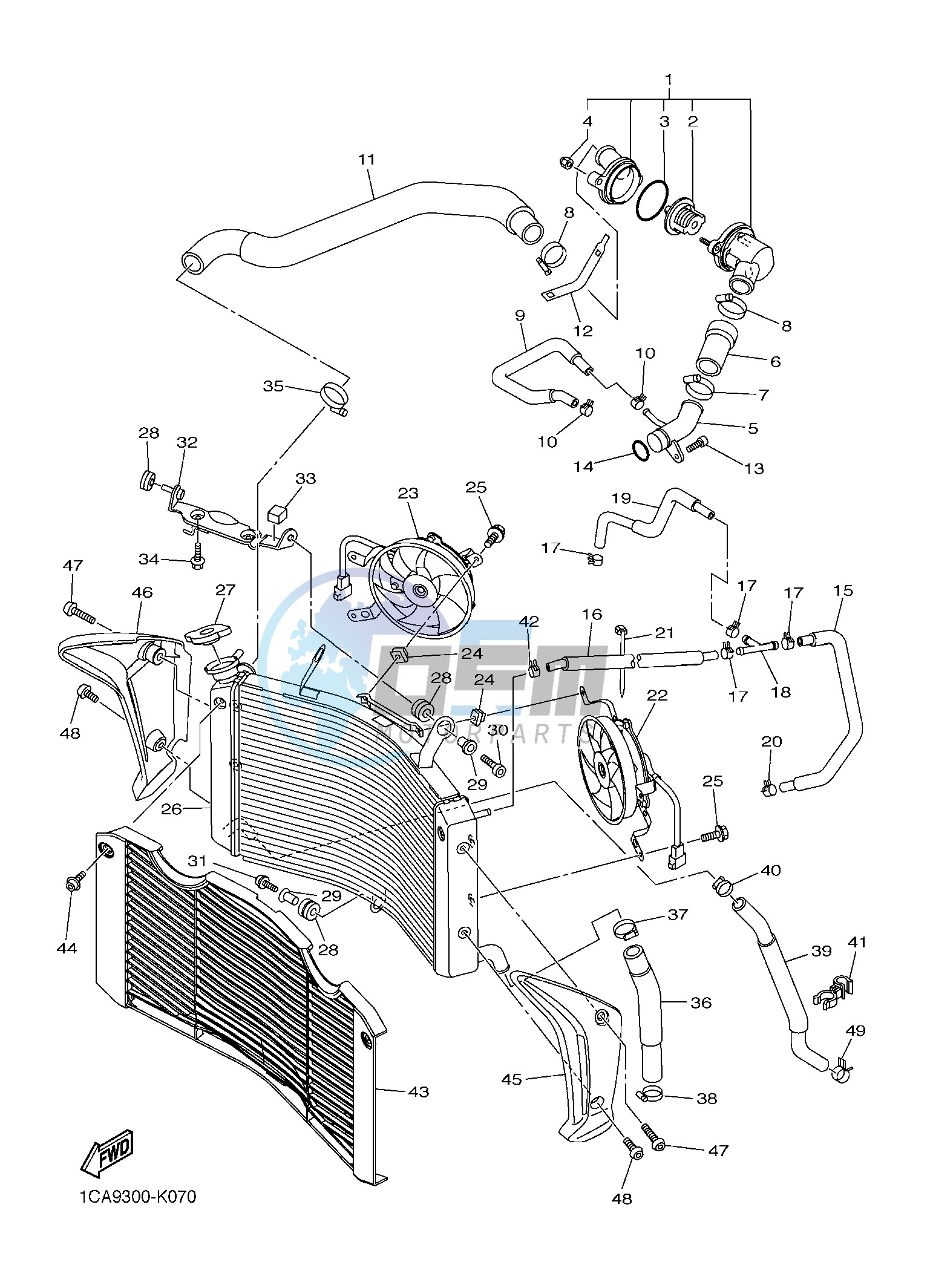 RADIATOR & HOSE