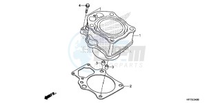 TRX420FAD TRX420 Europe Direct - (ED) drawing CYLINDER