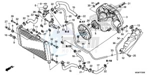 CB600FAD Hornet - CB600F ABS England - (3ED) drawing RADIATOR