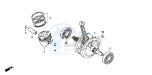 CRF230F drawing CRANKSHAFT/PISTON