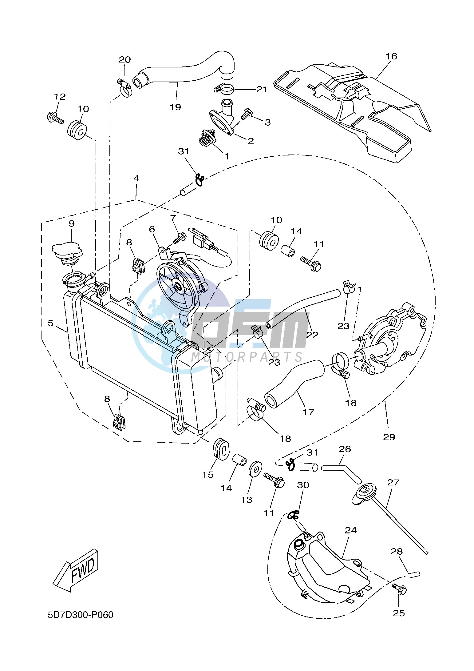 RADIATOR & HOSE