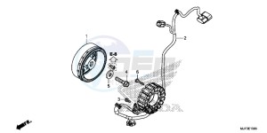 CRF1000DG CRF1000 - Africa Twin - Dual Clutch Europe Direct - (ED) drawing GENERATOR