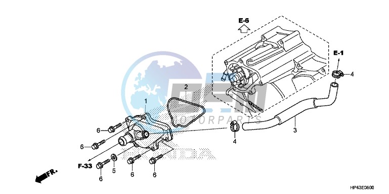 WATER PUMP COVER