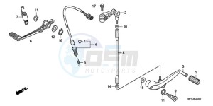 CBR1000RAA Europe Direct - (ED / ABS) drawing PEDAL