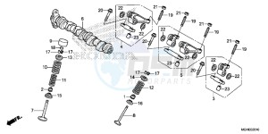 VFR1200XDLE CrossTourer ED drawing CAMSHAFT/VALVE (REAR)