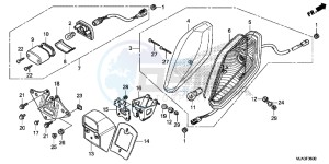 VT750CSD Shadow - VT750CS-D 2ED - (2ED) drawing TAILLIGHT (VT750C/CA/CS)