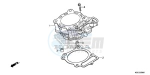 CRF150RD CRF150R Europe Direct - (ED) drawing CYLINDER