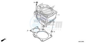 TRX500FM1G TRX500 Europe Direct - (ED) drawing CYLINDER